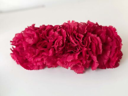 Flores de Flamenca 6